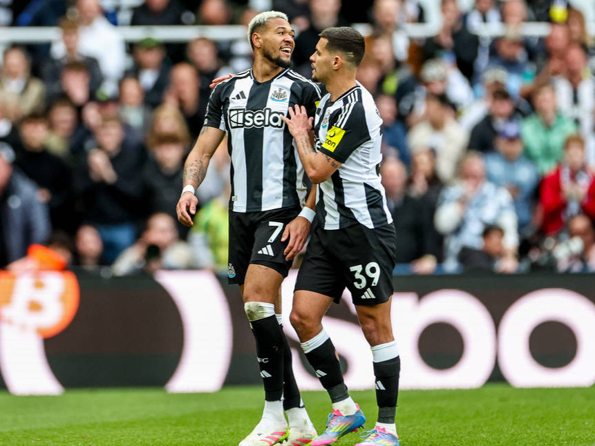 纽卡斯尔联客场失利,球队降级形势日益凶险的简单介绍 纽卡斯尔联客场失利,球队降级形势日益凶险的简单介绍