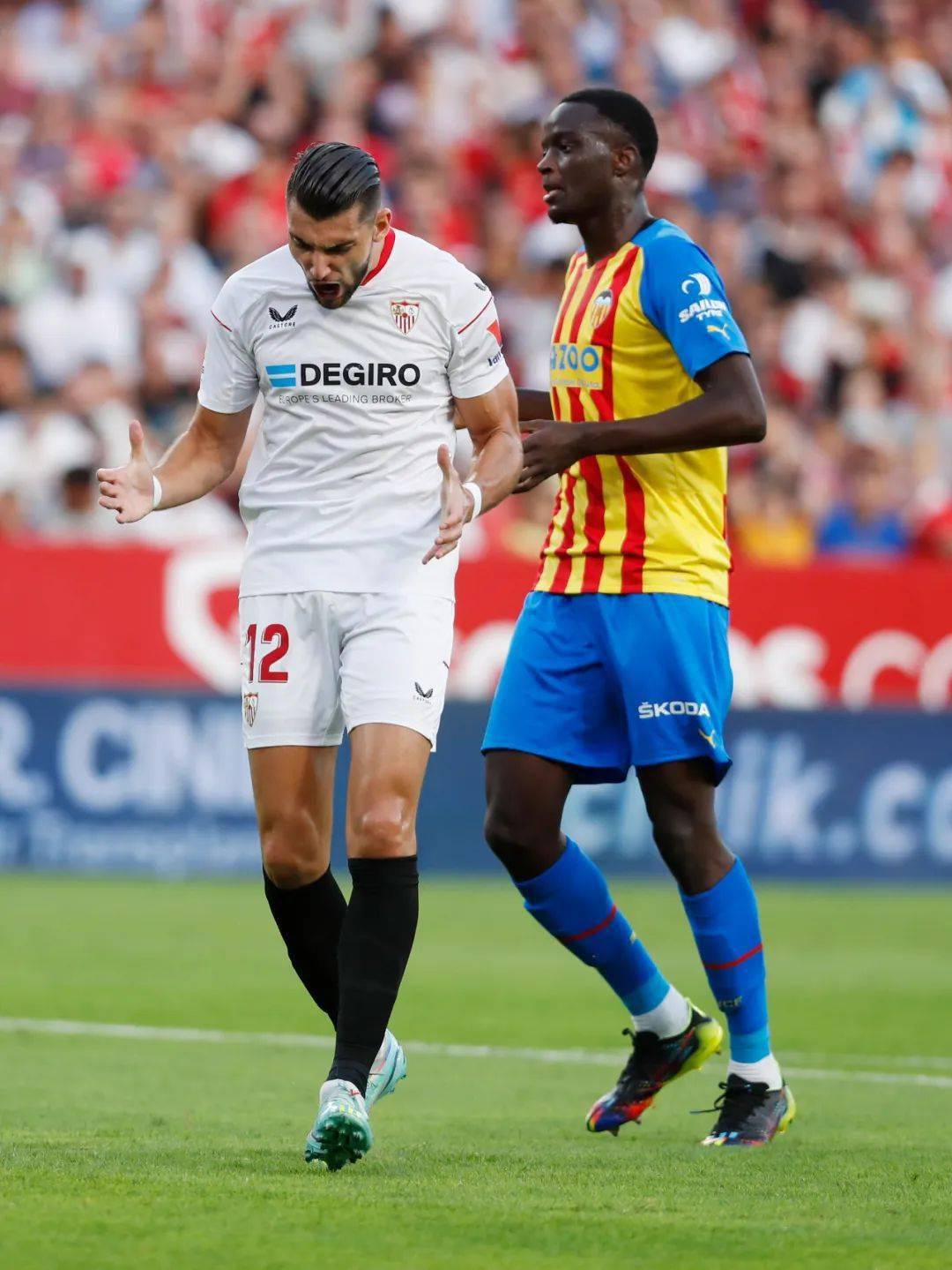 金丝雀坚持不败,客场取得平局的简单介绍 金丝雀坚持不败,客场取得平局的简单介绍